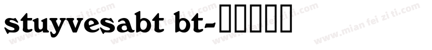 stuyvesabt bt字体转换
